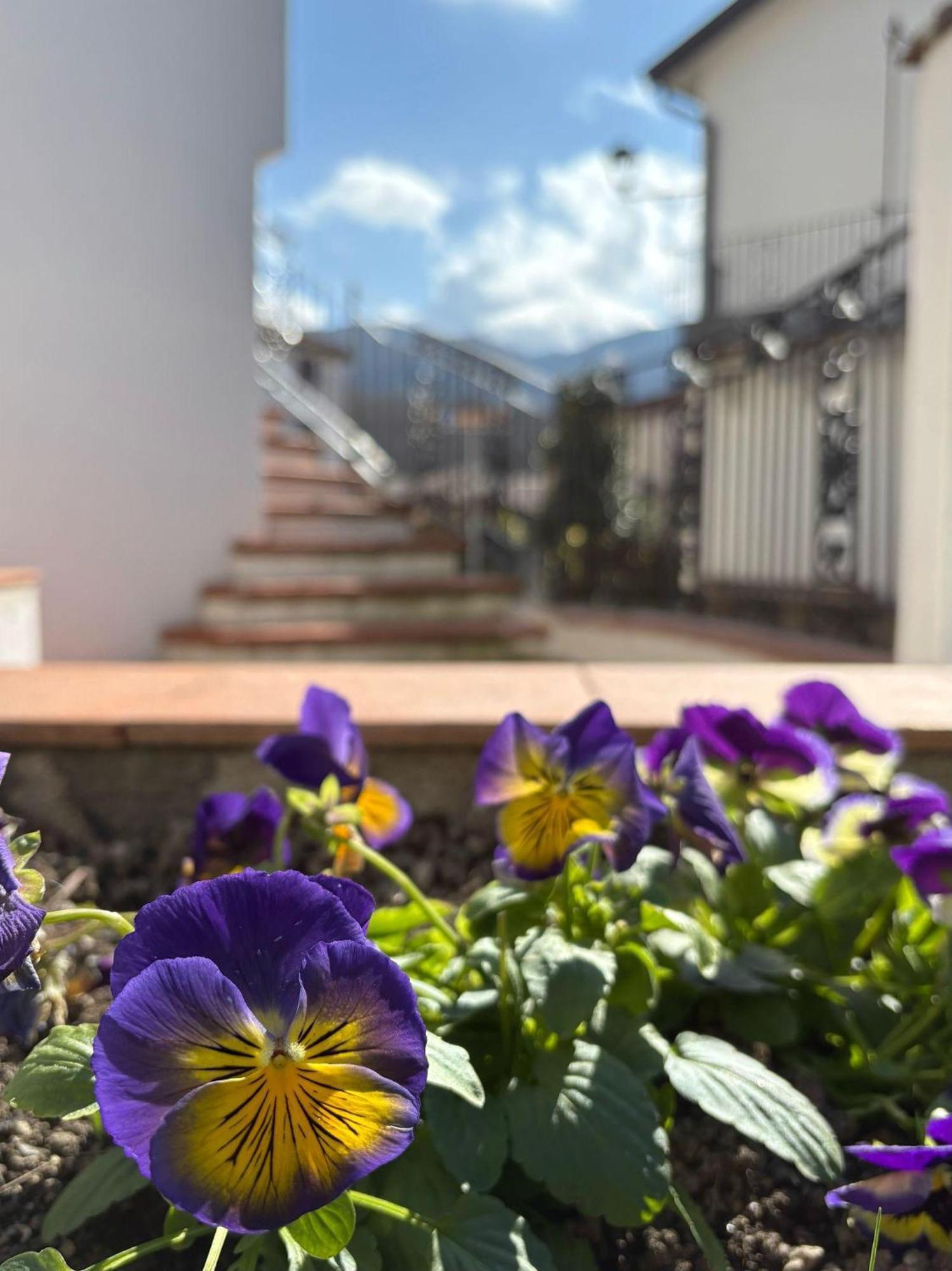 Appartement Albori à San Severino Lucano Extérieur photo